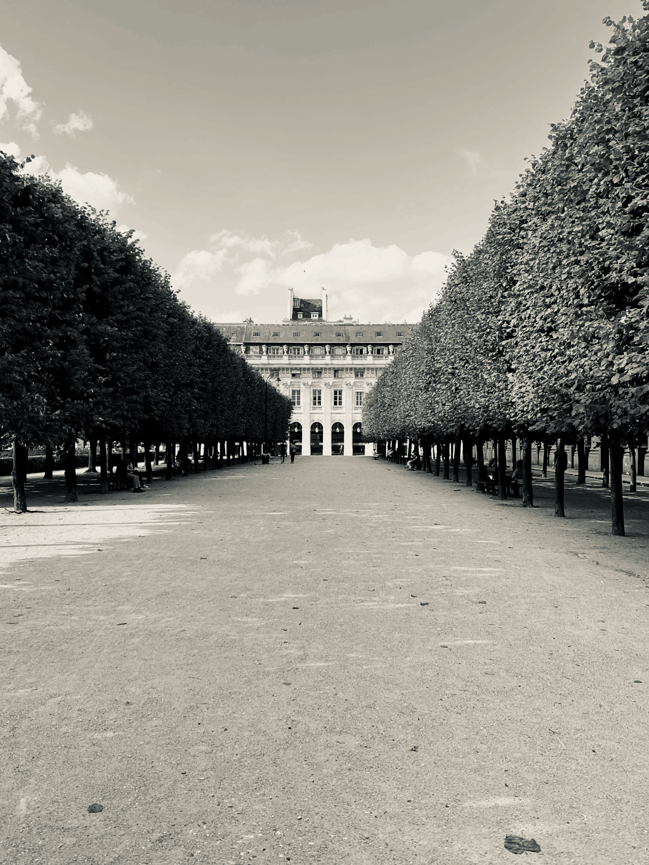 What My First Year in France Actually Cost