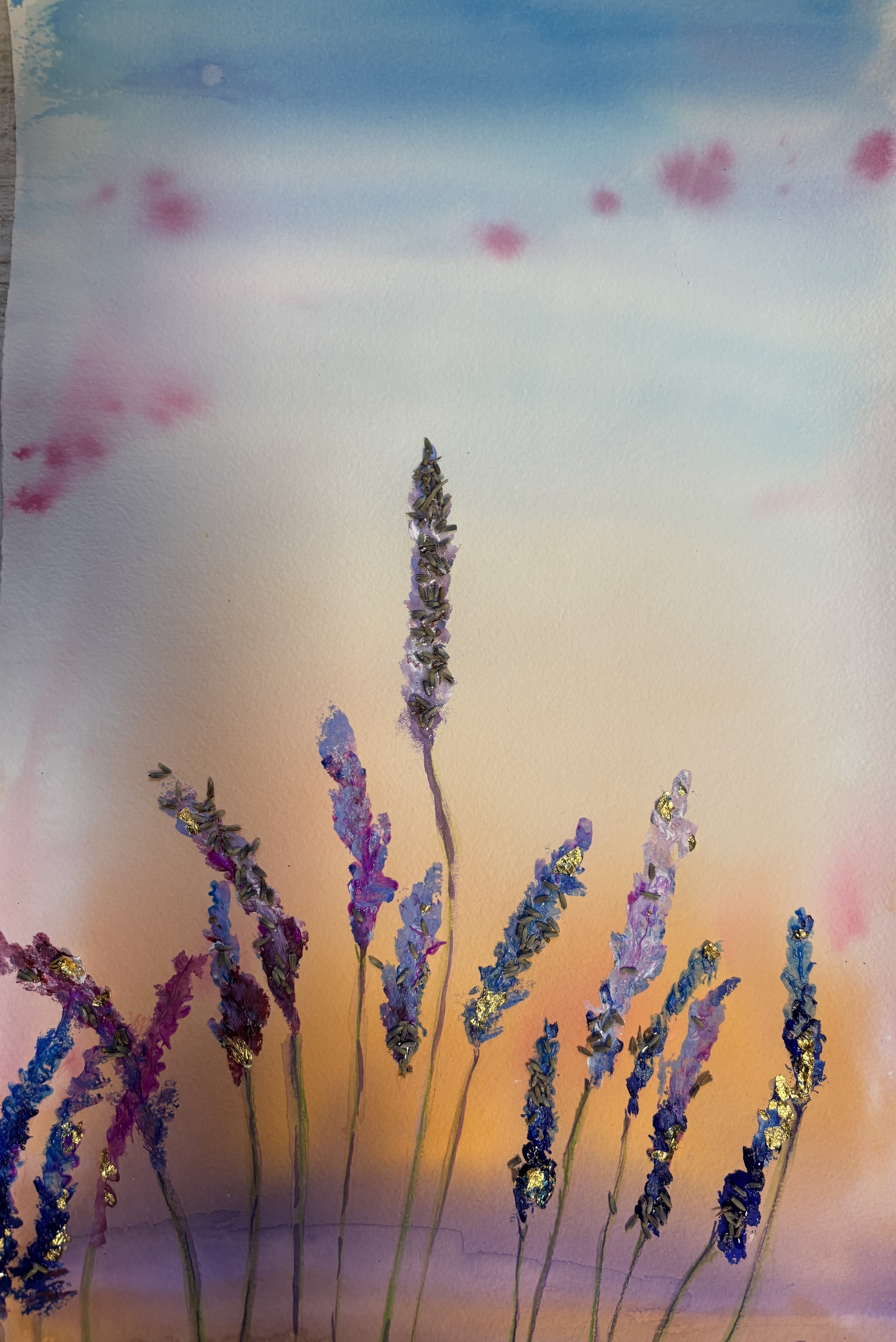 Lavendel1.jpg