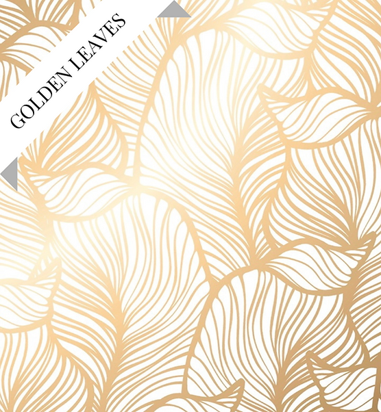 Backdrops | photography booth | 360 photo booth | photoshoot booth | Zahara Photo Booth | Photo Booth Rental