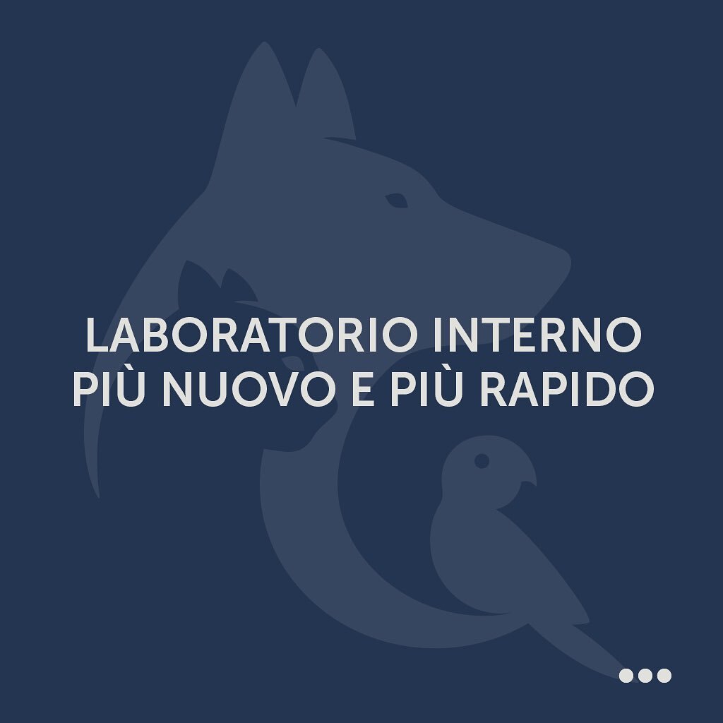 Grazie a macchinari di ultima generazione il nostro laboratorio analisi interno consente di ricevere gli esiti degli esami del sangue e delle urine nella stessa giornata del prelievo 🔬🧪

#laboratorioanalisi #analisiveterinarie #milanosud #corvetto 