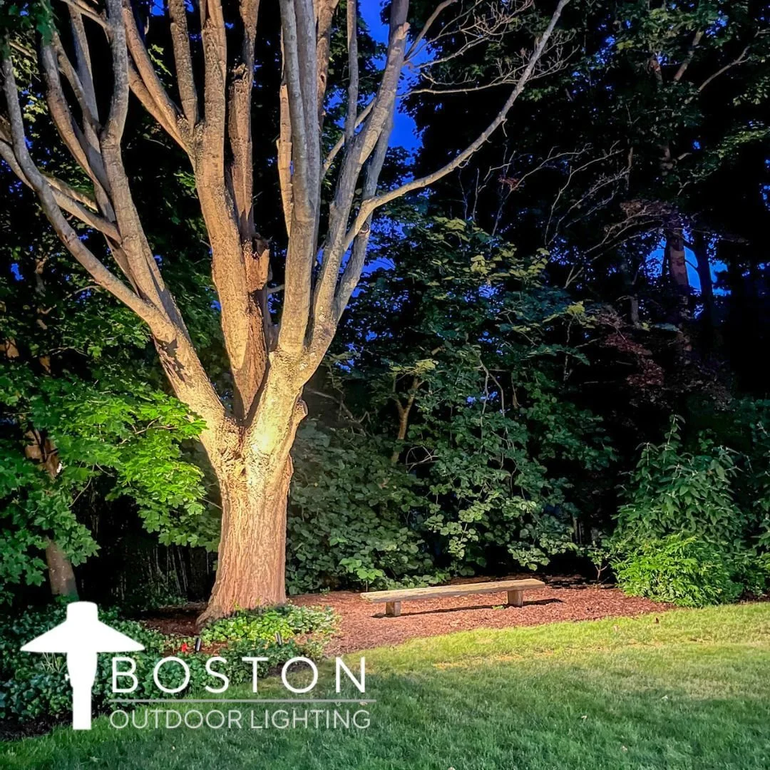 #landscapelighting #landscapelightingdesign #outdoorlighting #outdoorlightingdesign #fyp