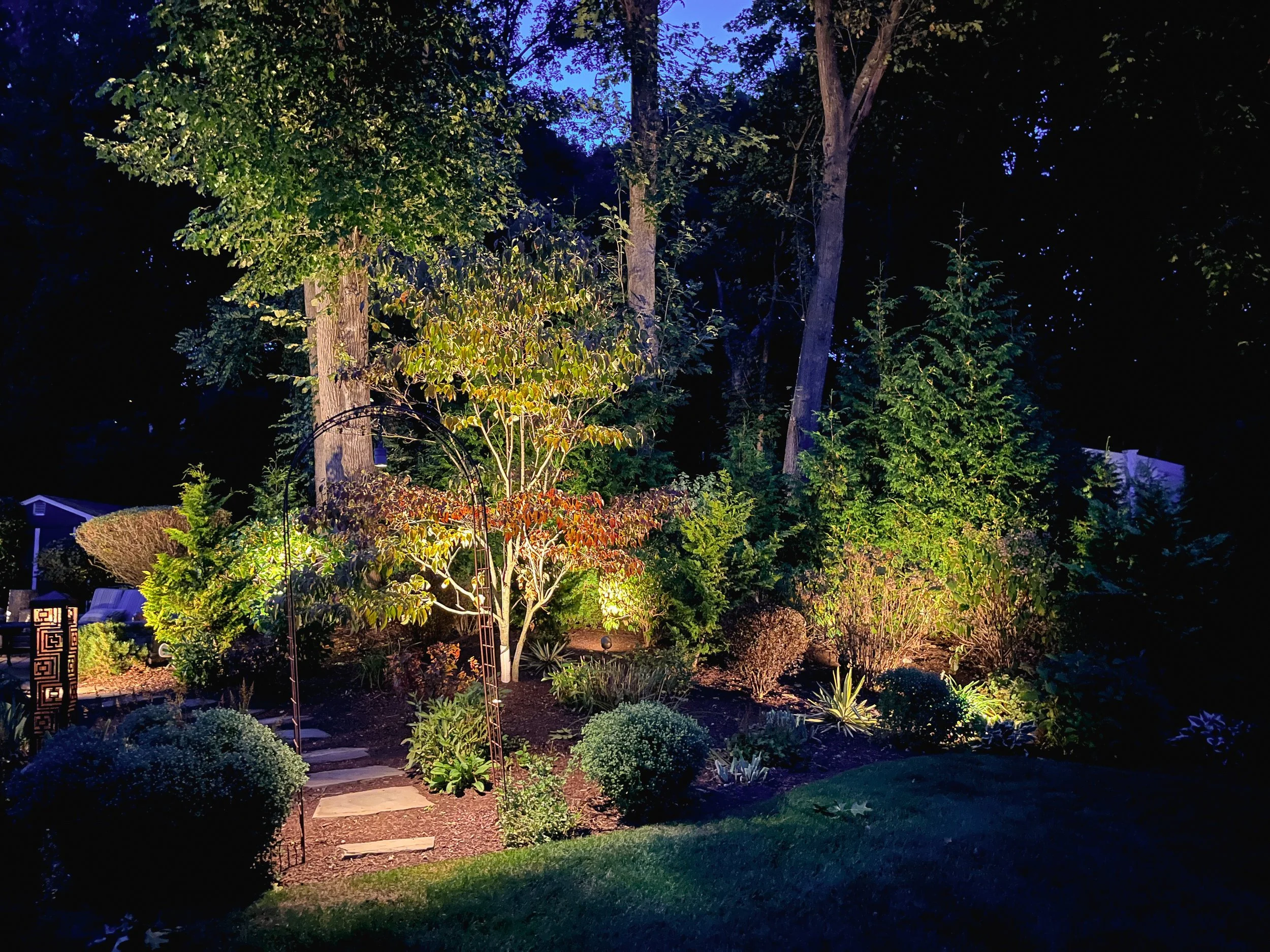 Professionally designed garden lighting creating depth through layered trees and ornamental plantings