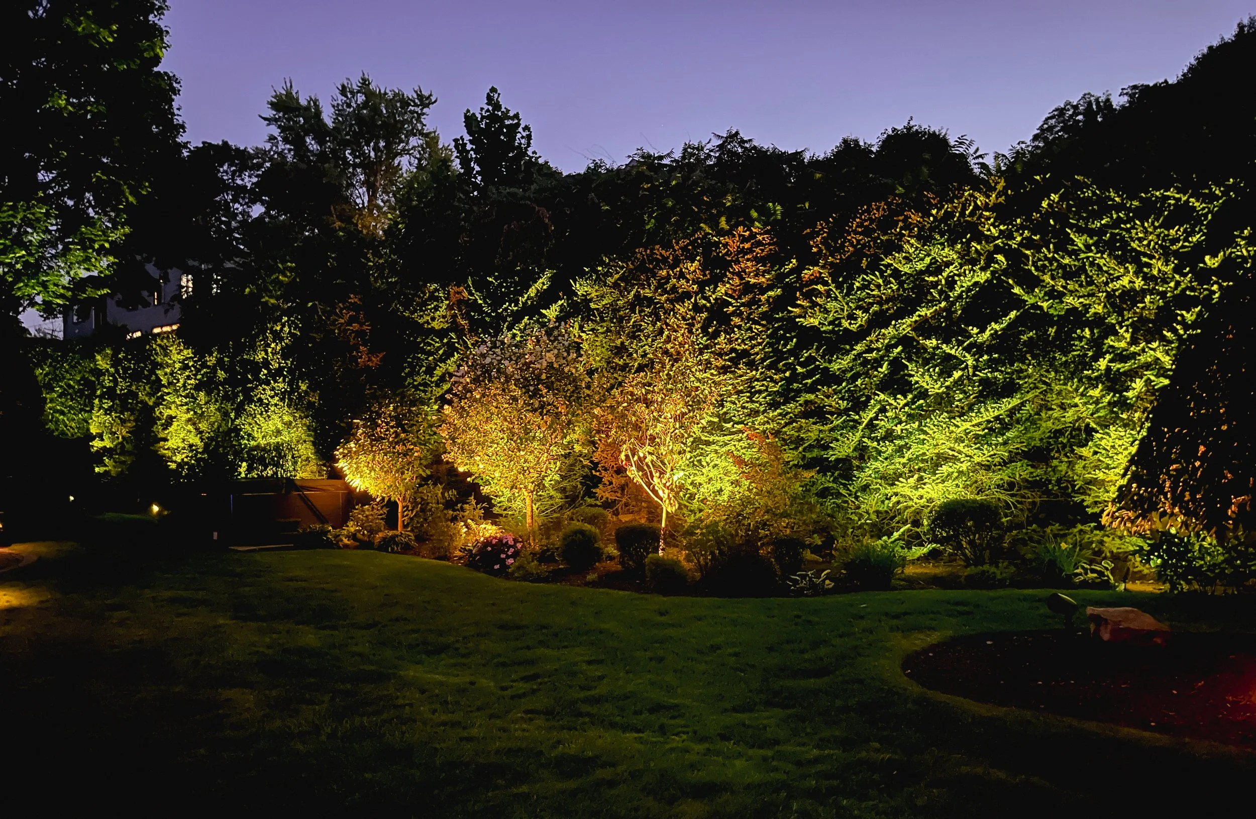 Low-voltage outdoor lighting illuminating mature trees and landscape beds at a home in Arlington, Massachusetts