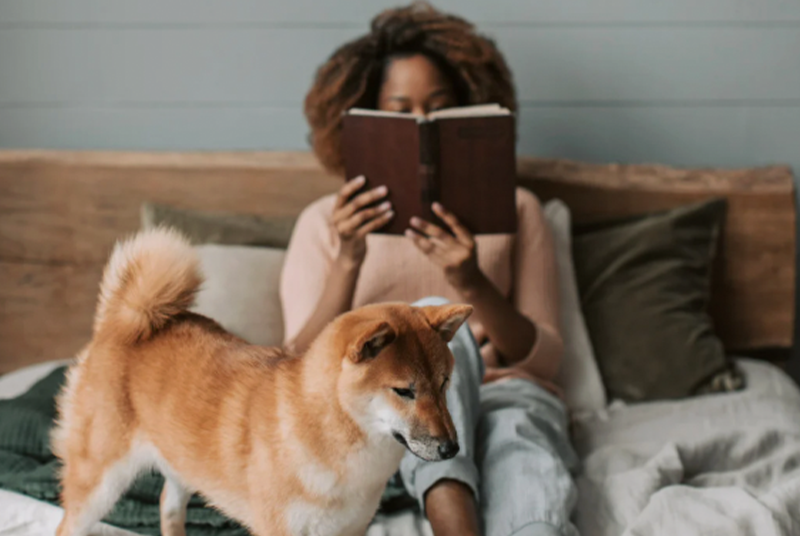 Creating a Nighttime Routine for Better Sleep and Mental Clarity