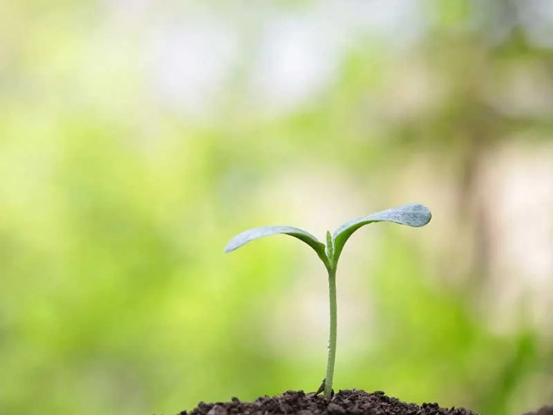 Growth Takes Time: What Personal Growth Really Looks Like