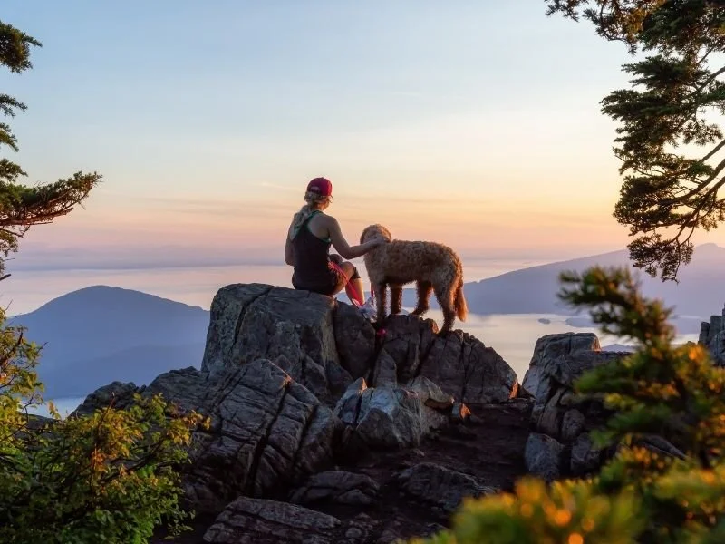The Mental Health Benefits of Nature