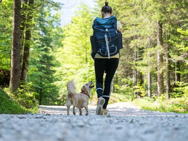 Woman walking with her dog during the summer and fall transition