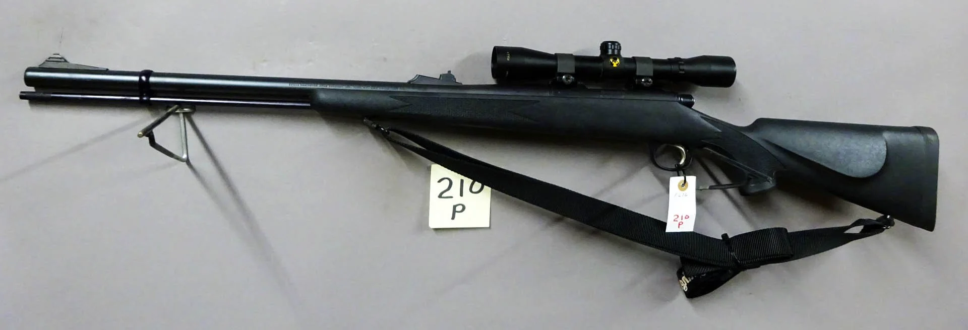 210p.2.jpg