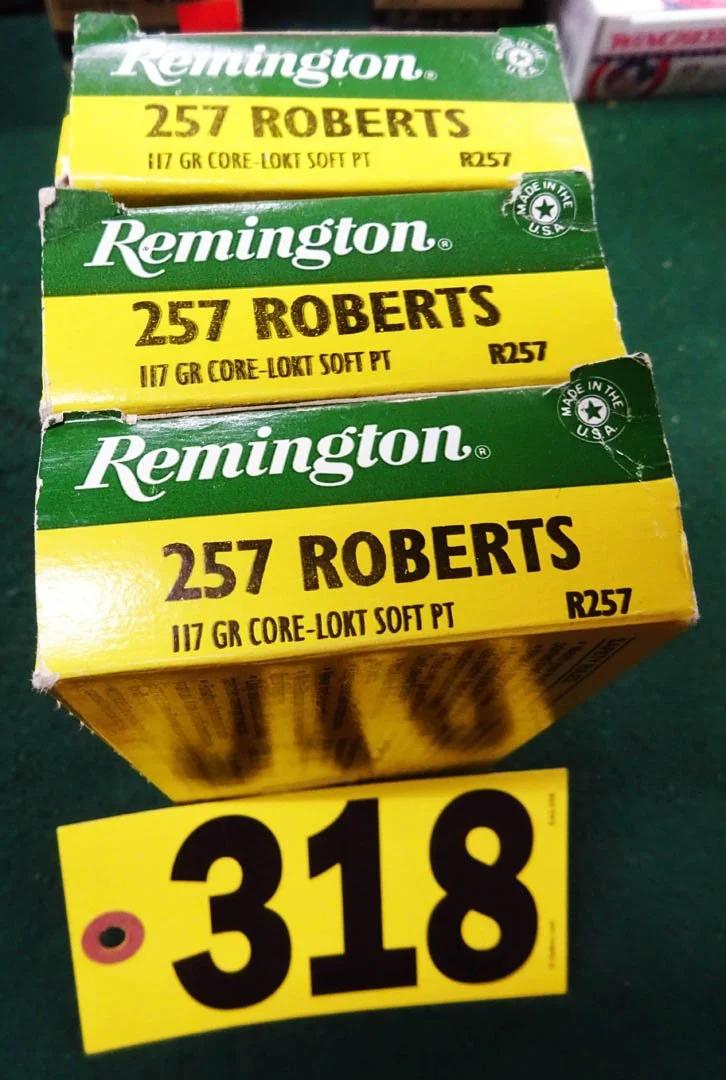 318.1.jpg