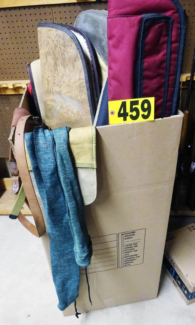 459.1.jpg