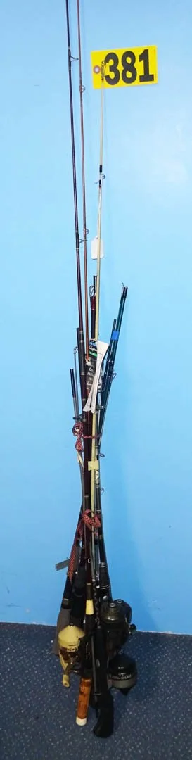 381.1.jpg