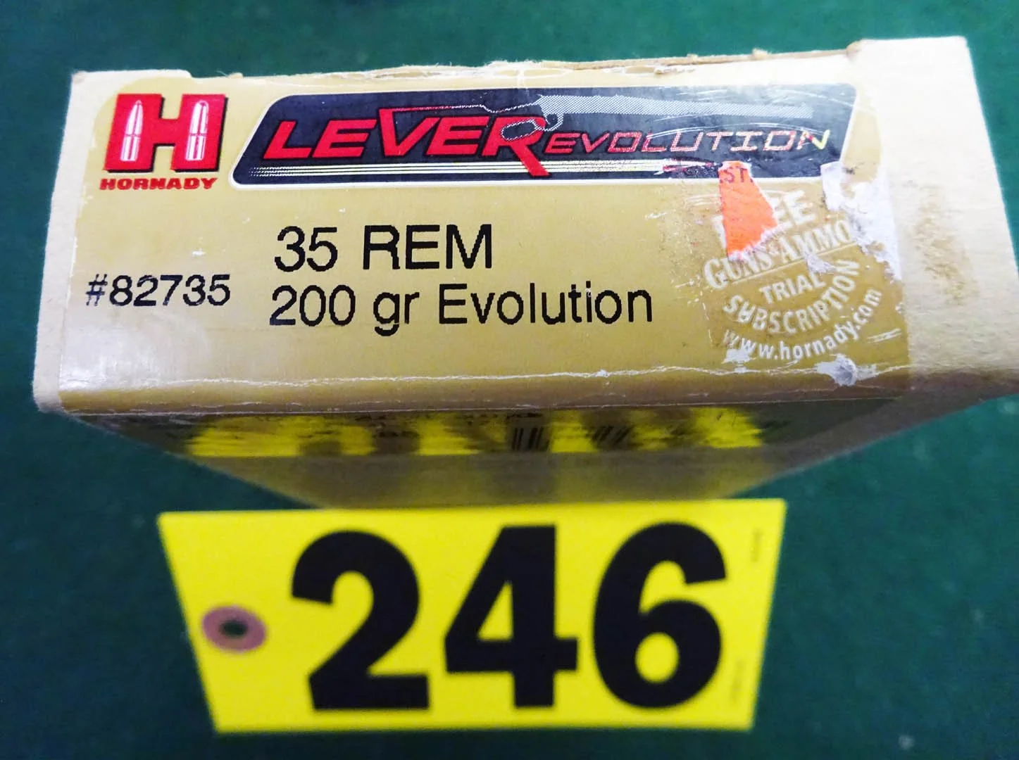246.1.jpg