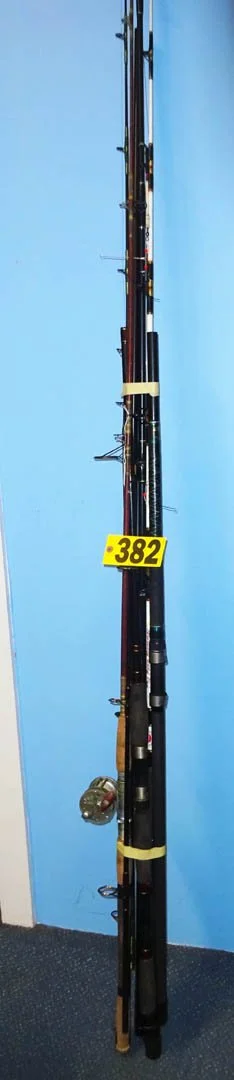 382.1.jpg