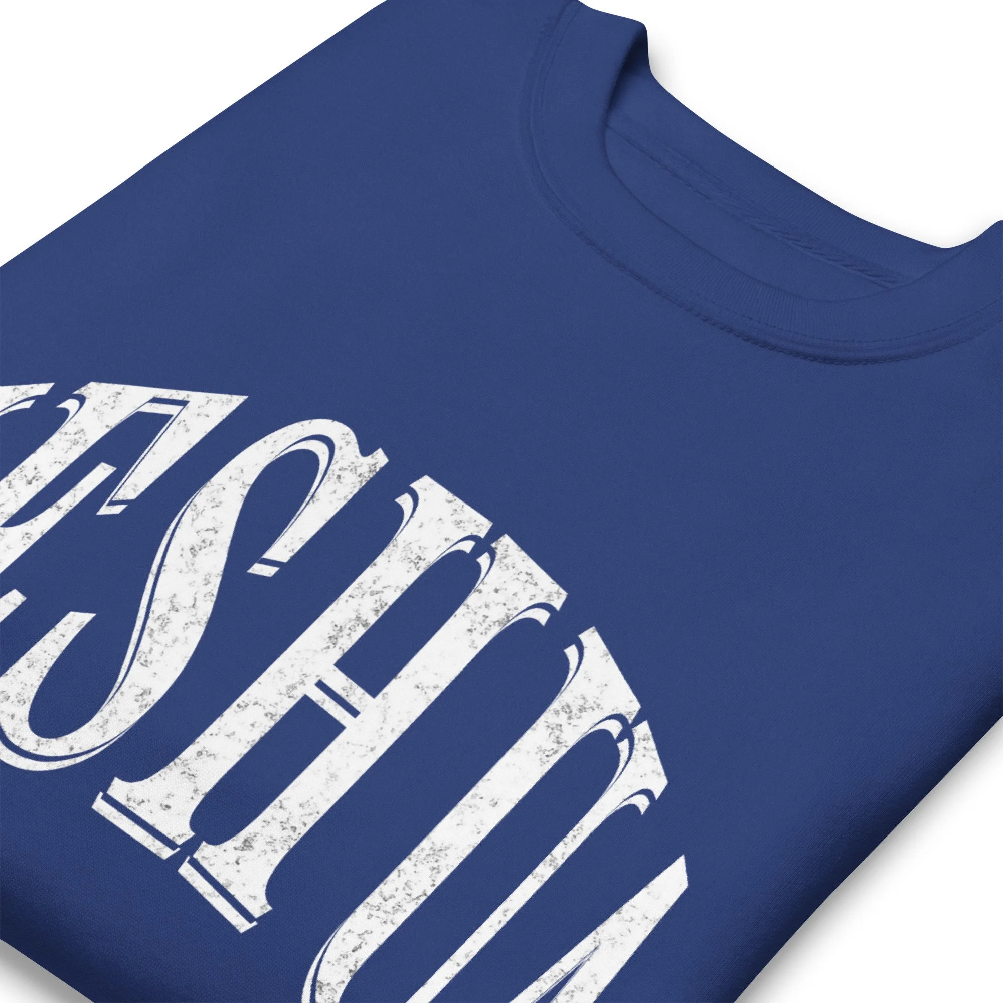 unisex-premium-sweatshirt-team-royal-zoomed-in-6792ab7d2f19e.jpg