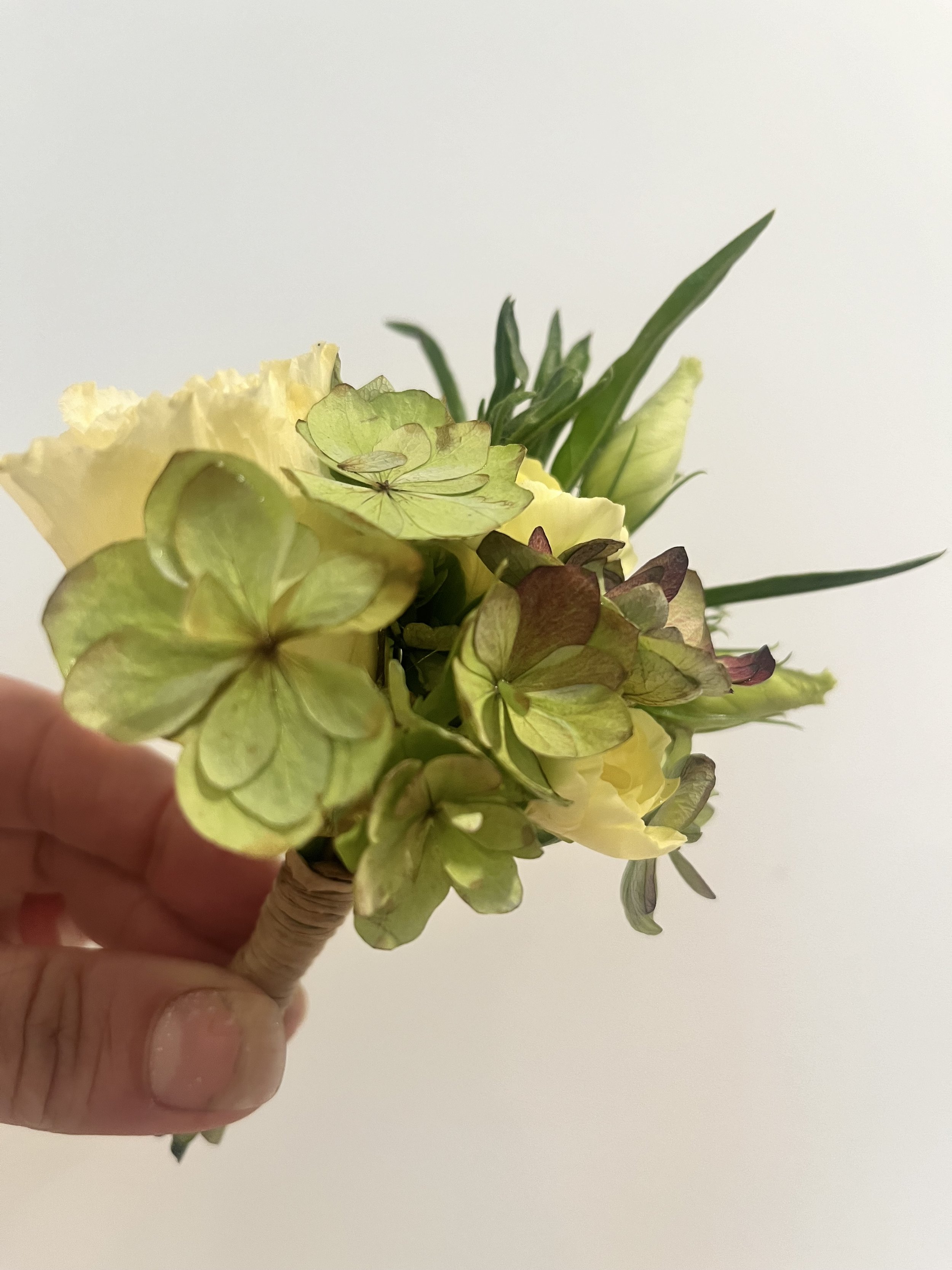 IMG_0105.jpeg