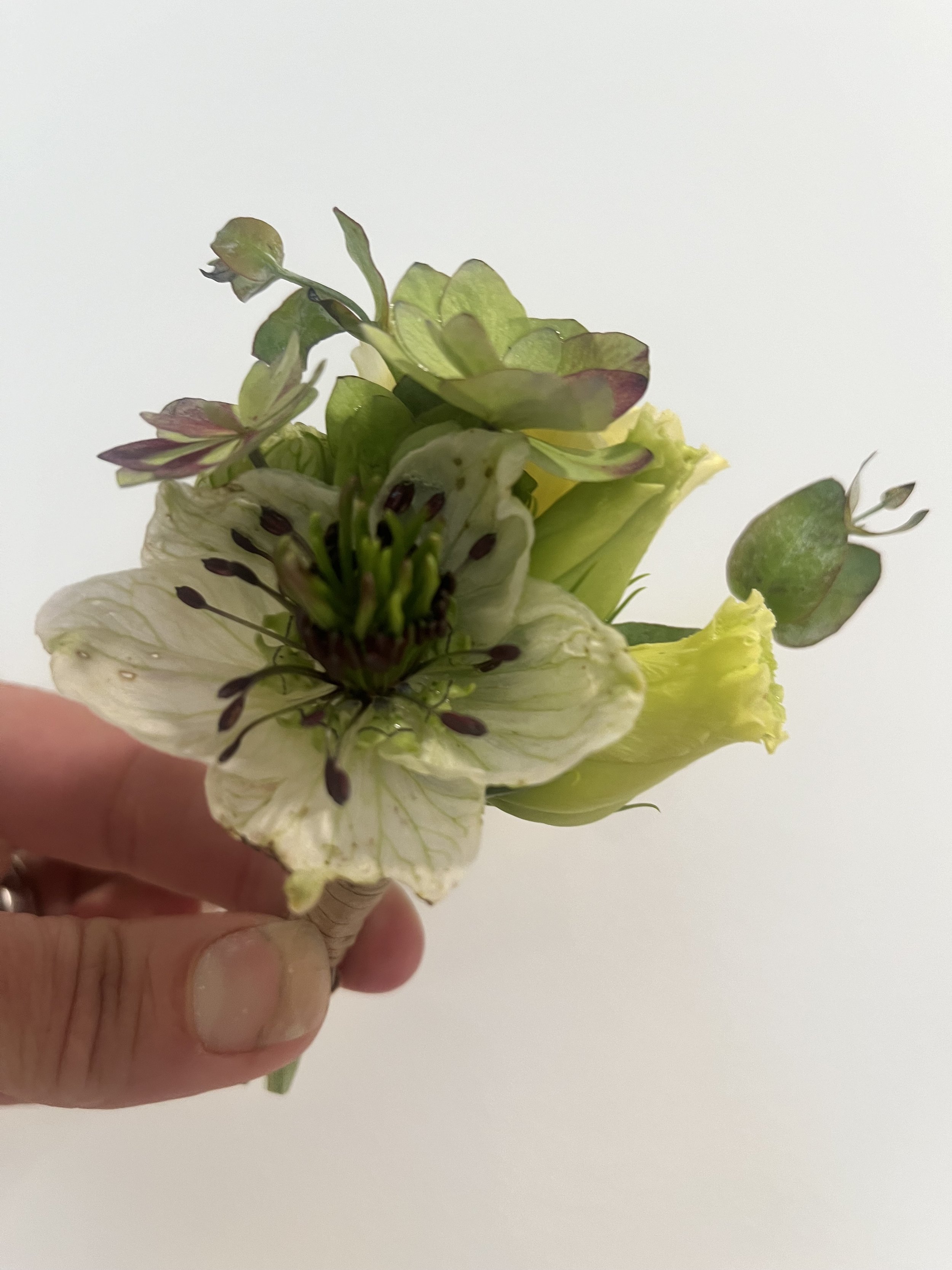 IMG_0101.jpeg