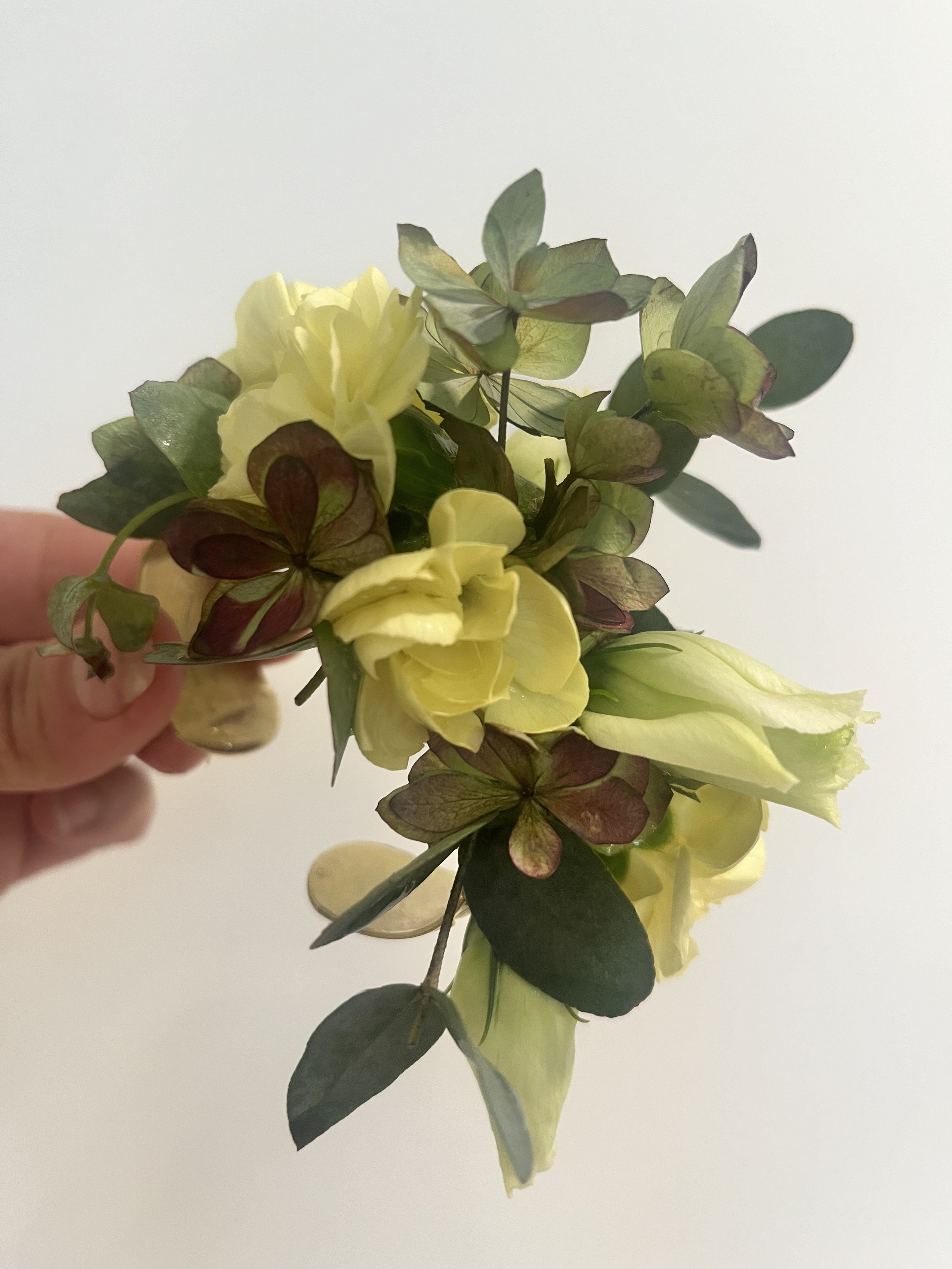 IMG_0110.jpeg