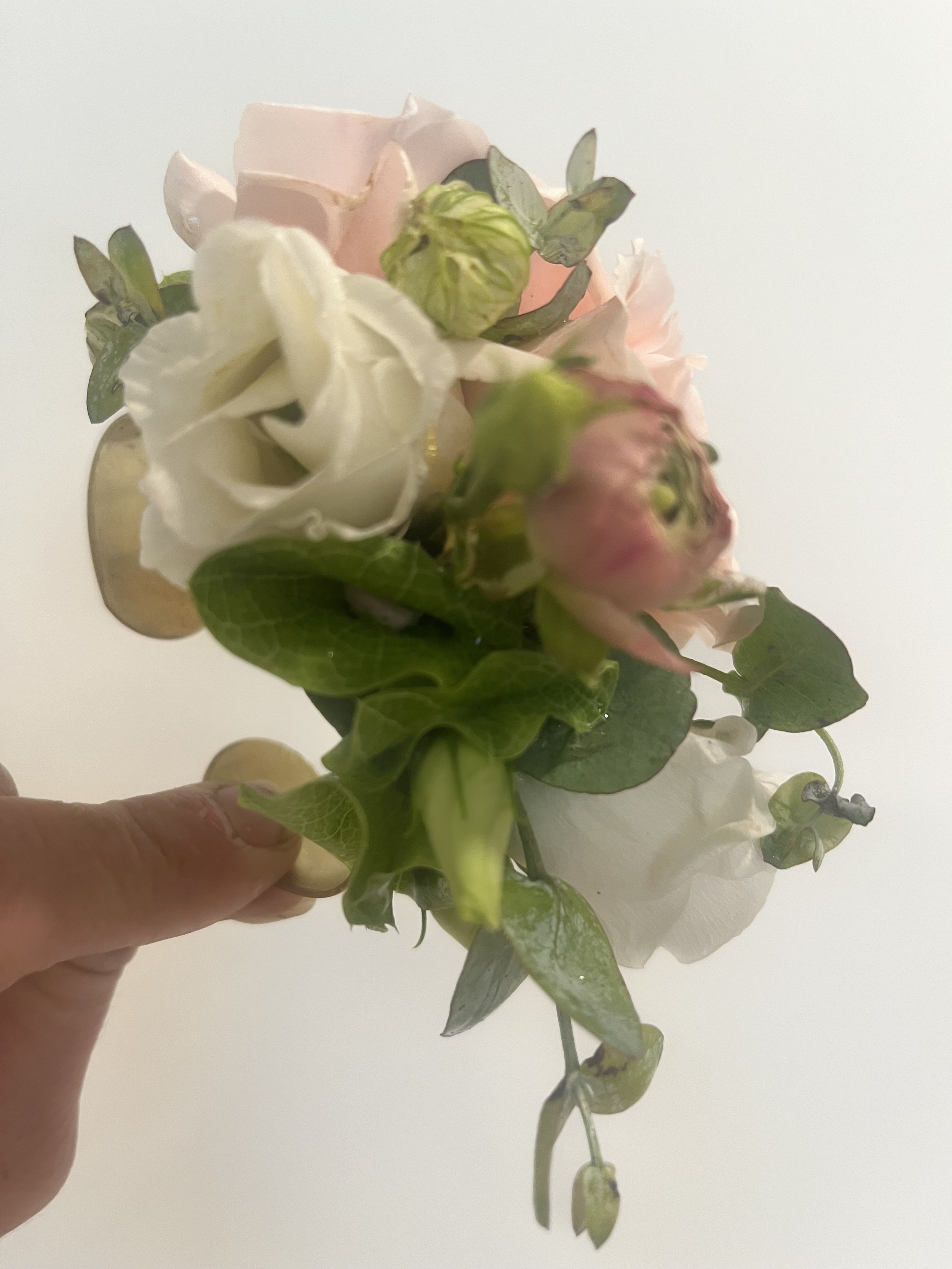 IMG_0119.jpeg
