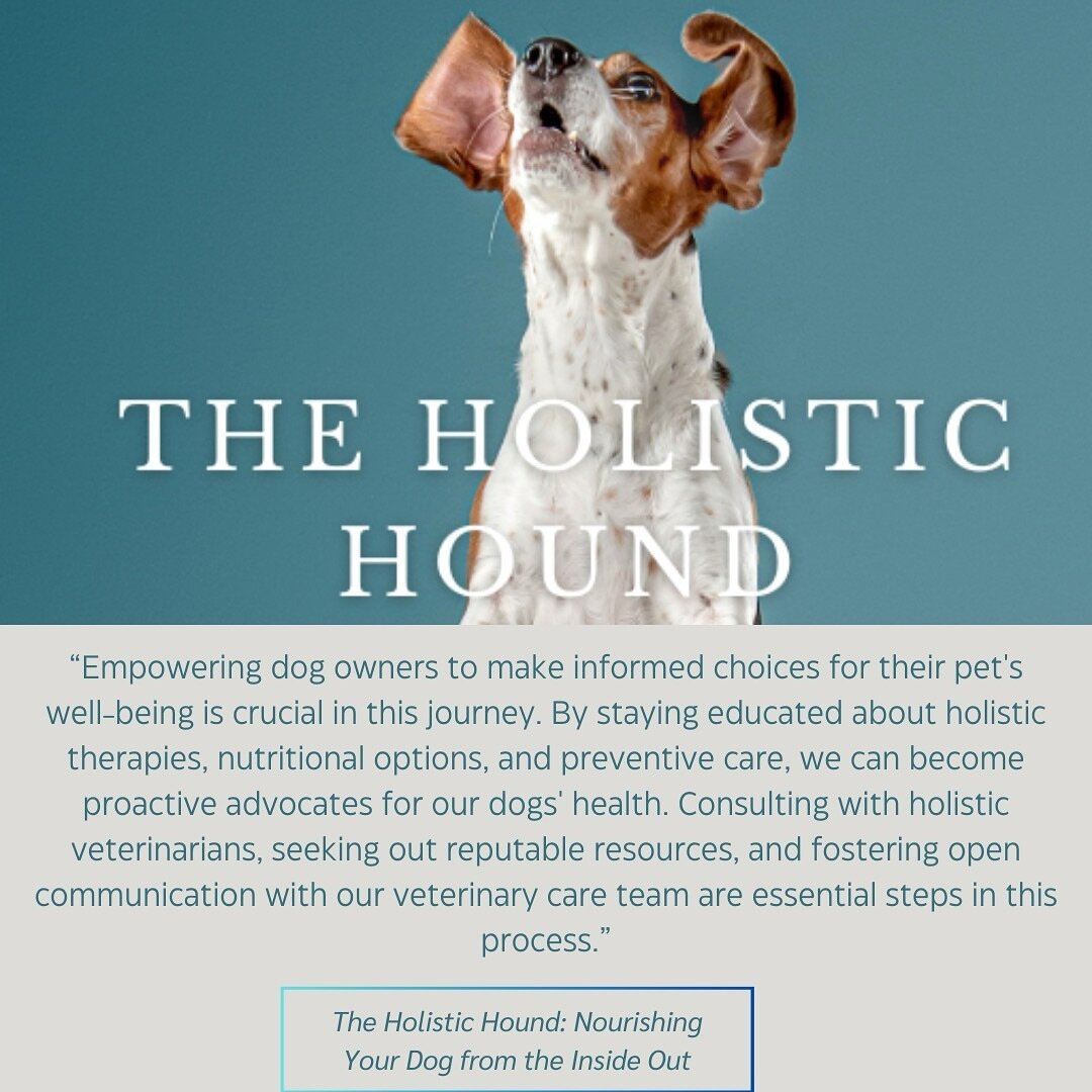 Another ebook about to drop👀📘&hellip;

On all things holistic health for your canine🐶🌱Whether you&rsquo;re a new or seasoned dog parent, you&rsquo;ll want this healthy handbook within your reach🩺🤓

Grab yours at dipndogs.com/ebook (COMING SOON!