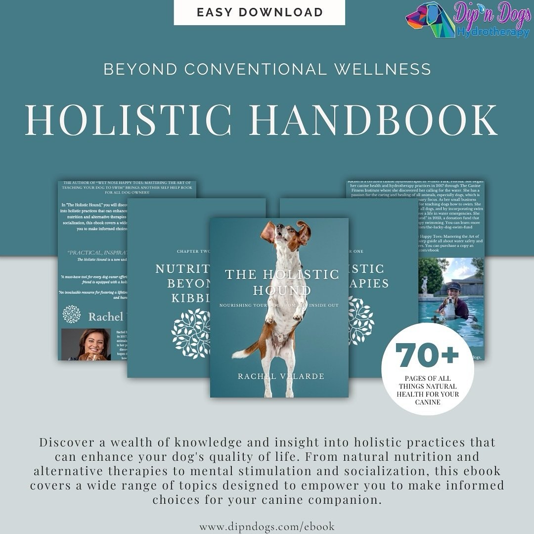 Our second ebook &ldquo;The Holistic Hound&rdquo; is now LIVE &amp; ready for you to easy download!📗🐶🌱

If you&rsquo;re looking for a handy dandy healthy handbook for you &amp; your dog-look no further💚 all things holistic health practices &amp; 