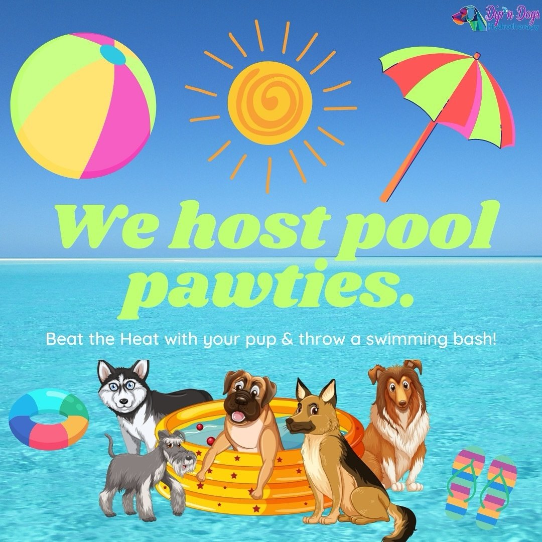 Did you Know? We host pool pawties!🎉🎈🏖️⛵️

☀️BIRTHDAYS
☀️MEET-UPS
☀️GOTCHA DAYS
☀️GOOD OLE SWIM TIME

We offer a variety of pool pawties for dogs! What a perfect time to beat the heat and cool off by the pool with good friends, music, food/drinks 