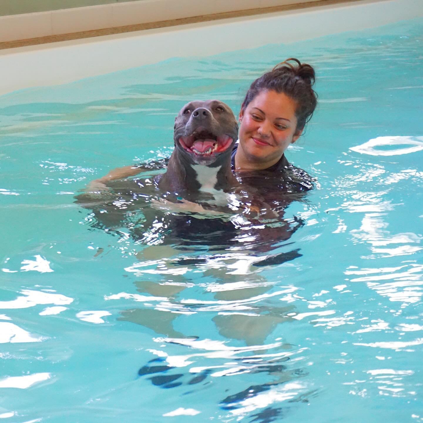 ✨Throwback Thursday✨ circa 2017-2018

When it all started☁️I began my canine hydrotherapy journey in early 2017 &amp; became certified in early 2018. Prior to the creation of Dip&rsquo;n Dogs, I worked as a hydrotherapist for a local business, then s