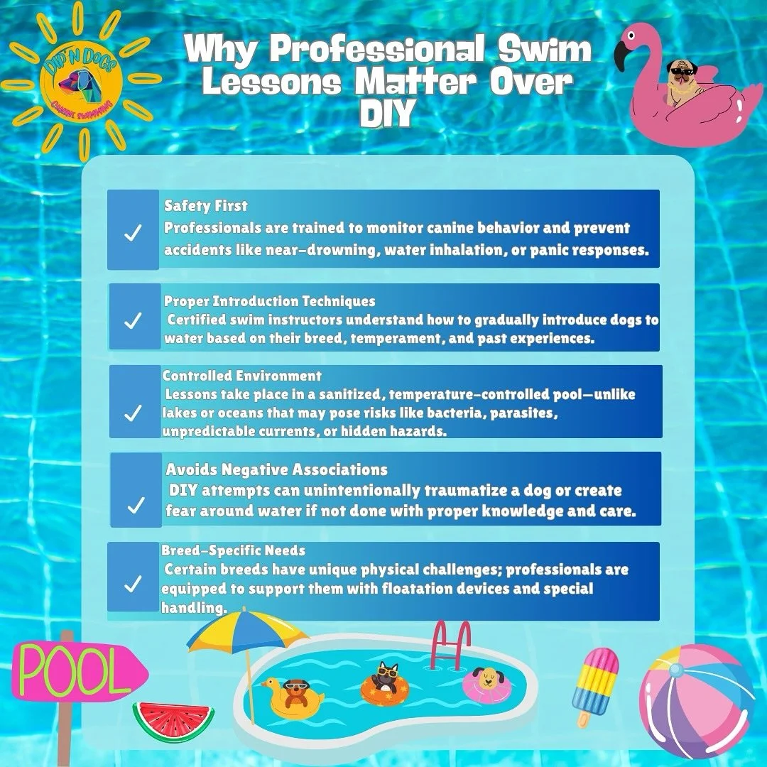 The reality is that not all dogs know how to swim safely, and without proper instruction and a secure environment, they are at risk for drowning, injury, and illness🆘

Investing in professional swim lessons is one of the most important decisions you