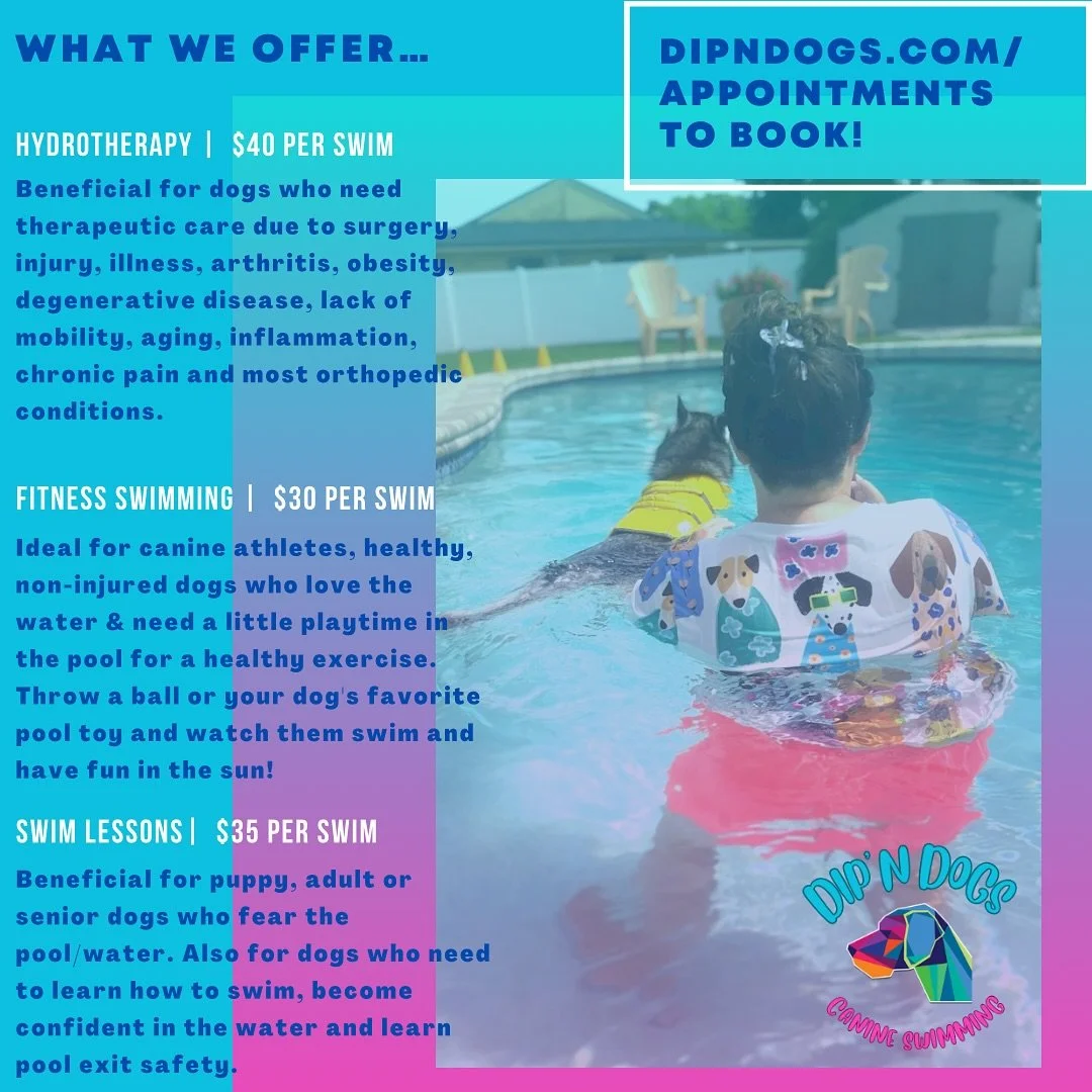 💡Considering booking a swim for your dog?💡
🩷At Dip’n Dogs, we specialize in professional canine swimming that goes far beyond just playtime in the pool. Each session is tailored to your dog’s needs…whether it’s for fitnes