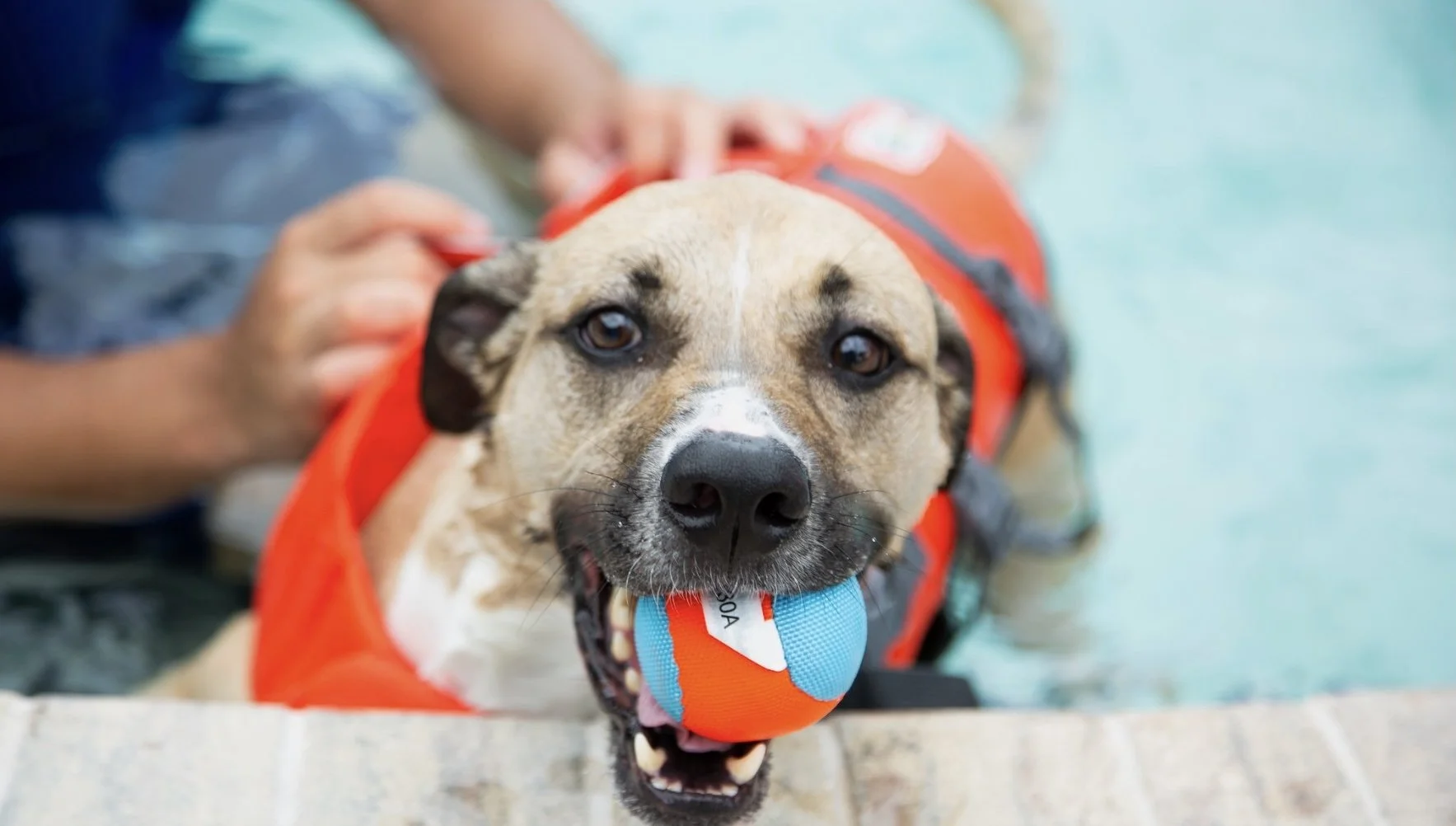 Screen Shot 2024-03-05 at 1.36.23 PM.jpeg