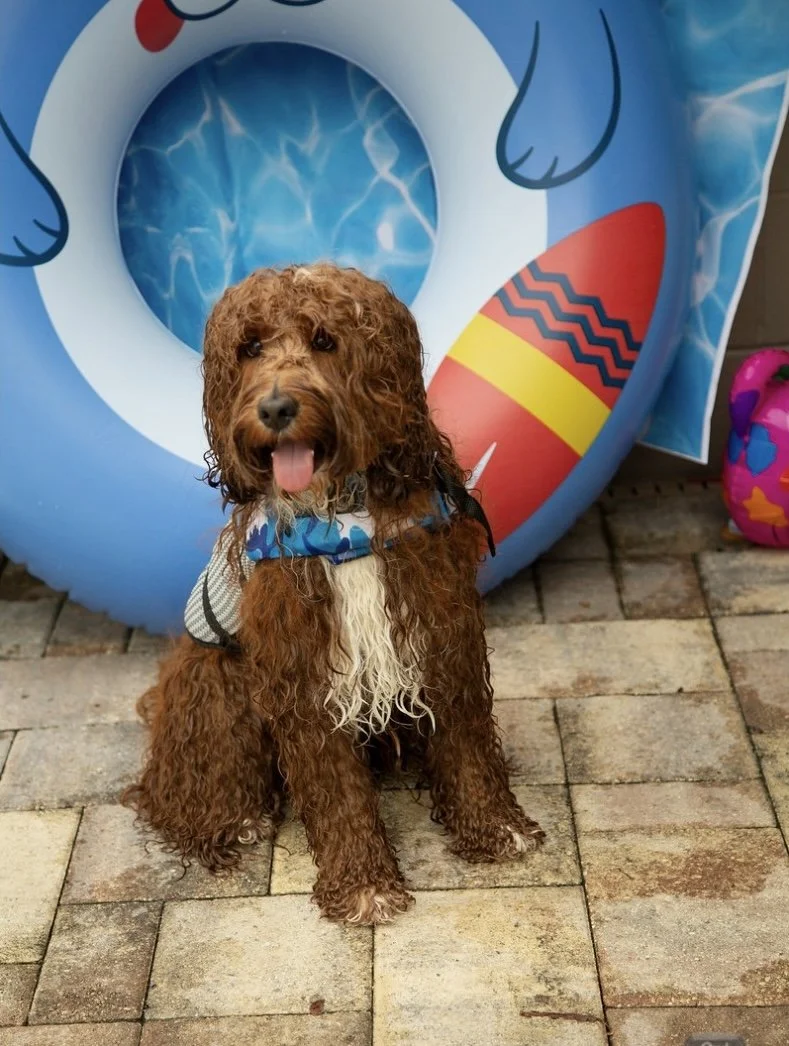 Screen Shot 2024-03-05 at 1.38.53 PM.jpeg