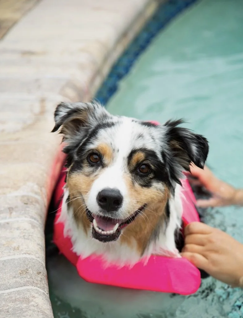 Screen Shot 2024-03-05 at 1.31.49 PM.jpeg