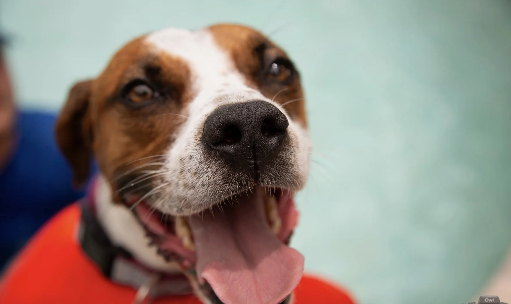 Screen Shot 2024-03-05 at 1.36.04 PM.jpeg