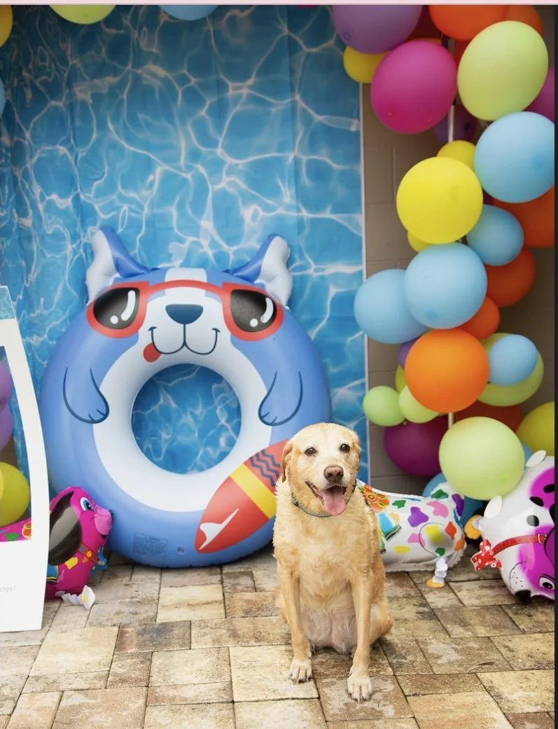 Screen Shot 2024-03-05 at 1.35.57 PM.jpeg