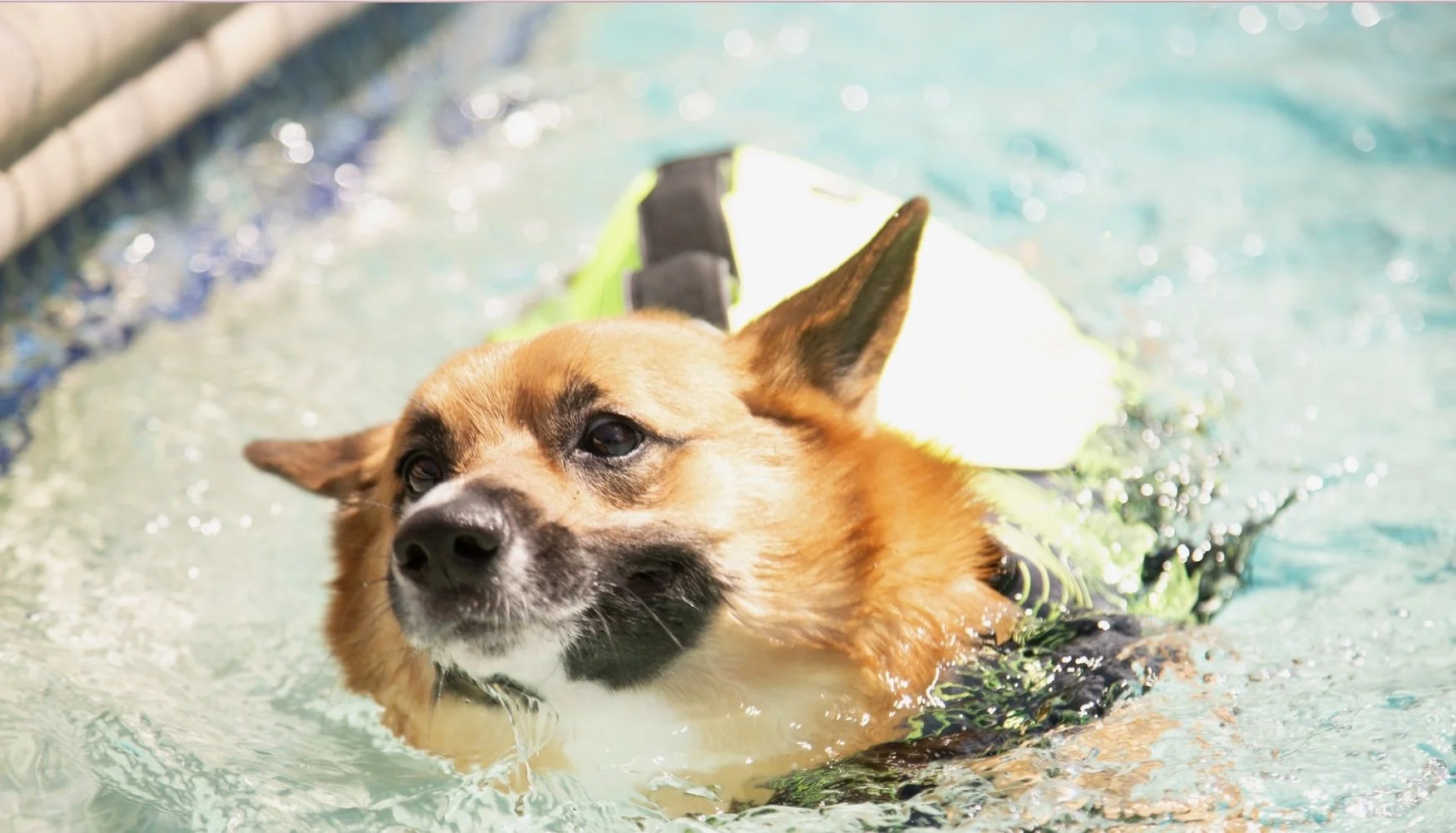 Screen Shot 2024-03-05 at 1.42.27 PM.jpeg