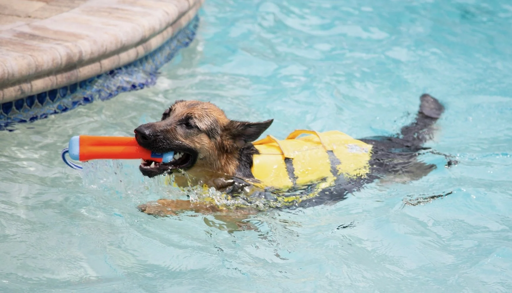 Screen Shot 2024-03-05 at 1.30.20 PM.jpeg