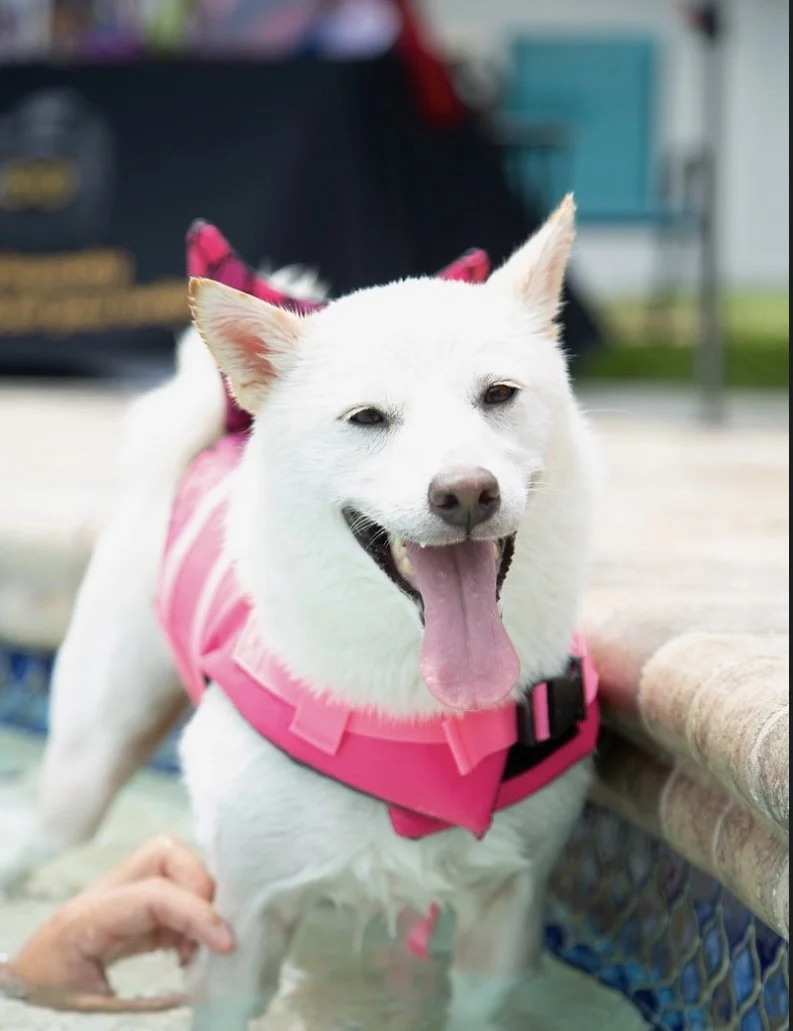 Screen Shot 2024-03-05 at 1.34.24 PM.jpeg