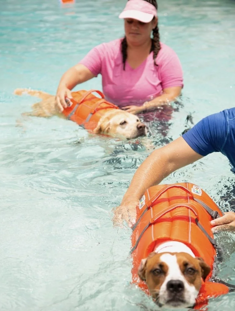 Screen Shot 2024-03-05 at 1.34.58 PM.jpeg