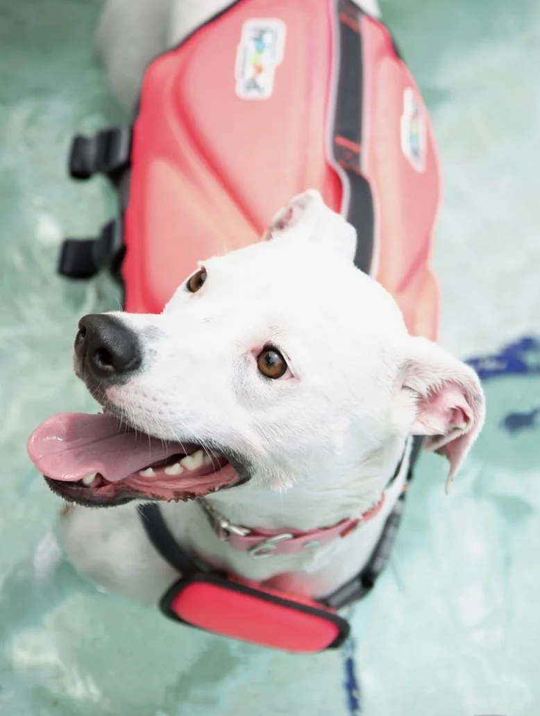 Screen Shot 2024-03-05 at 1.36.59 PM.jpeg