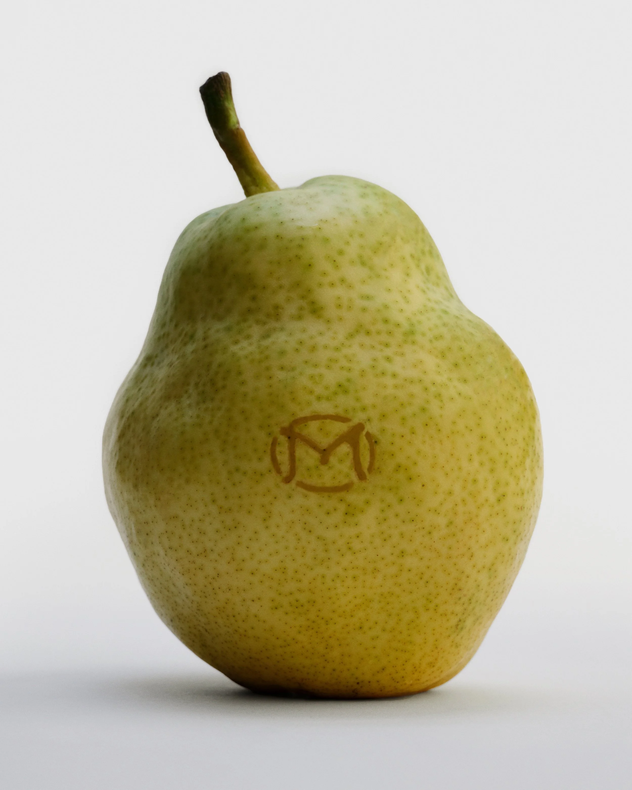 AS_MERIT_S6_220.jpg