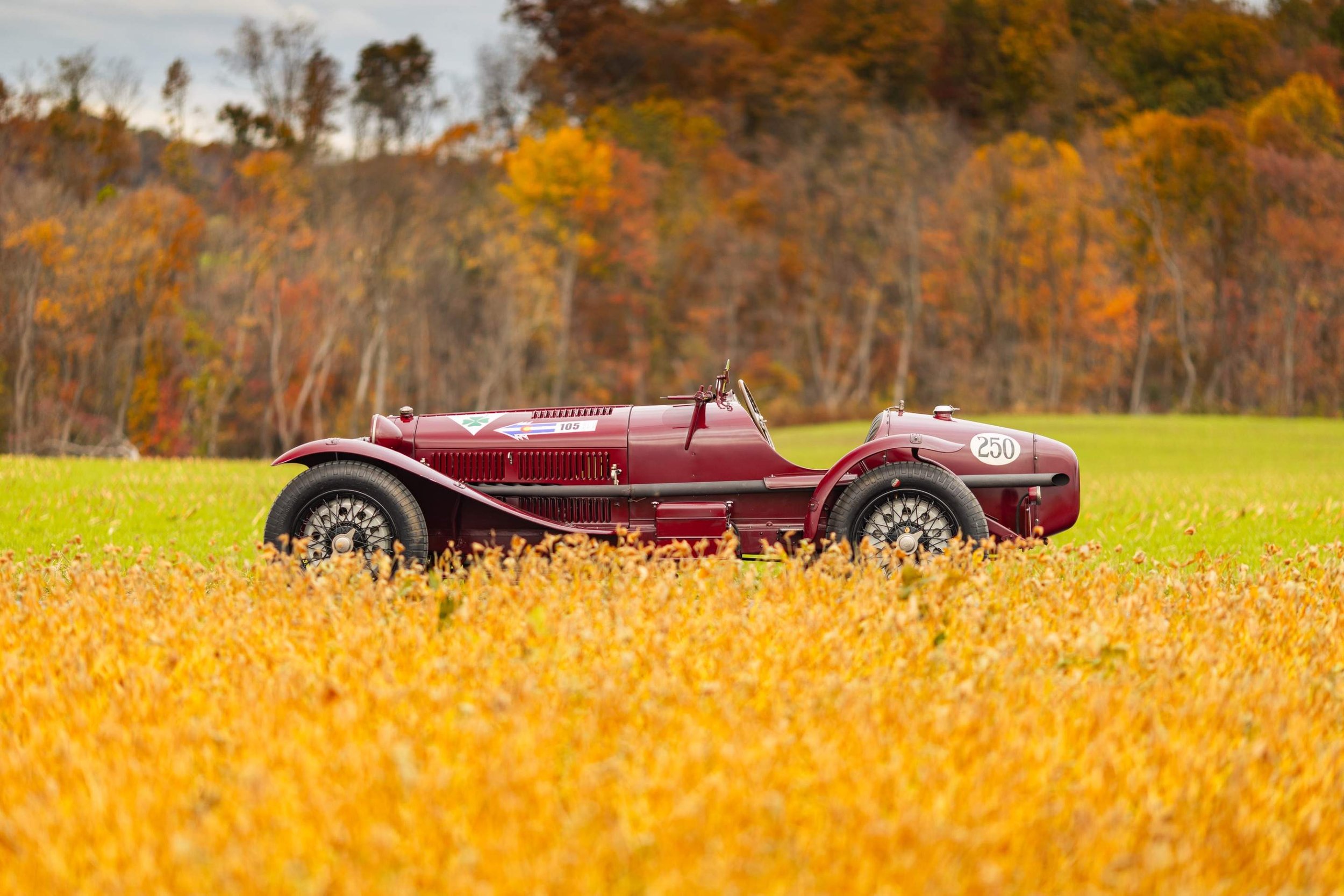 35-Nov 26 2025 12_49pm-7X9e.jpg