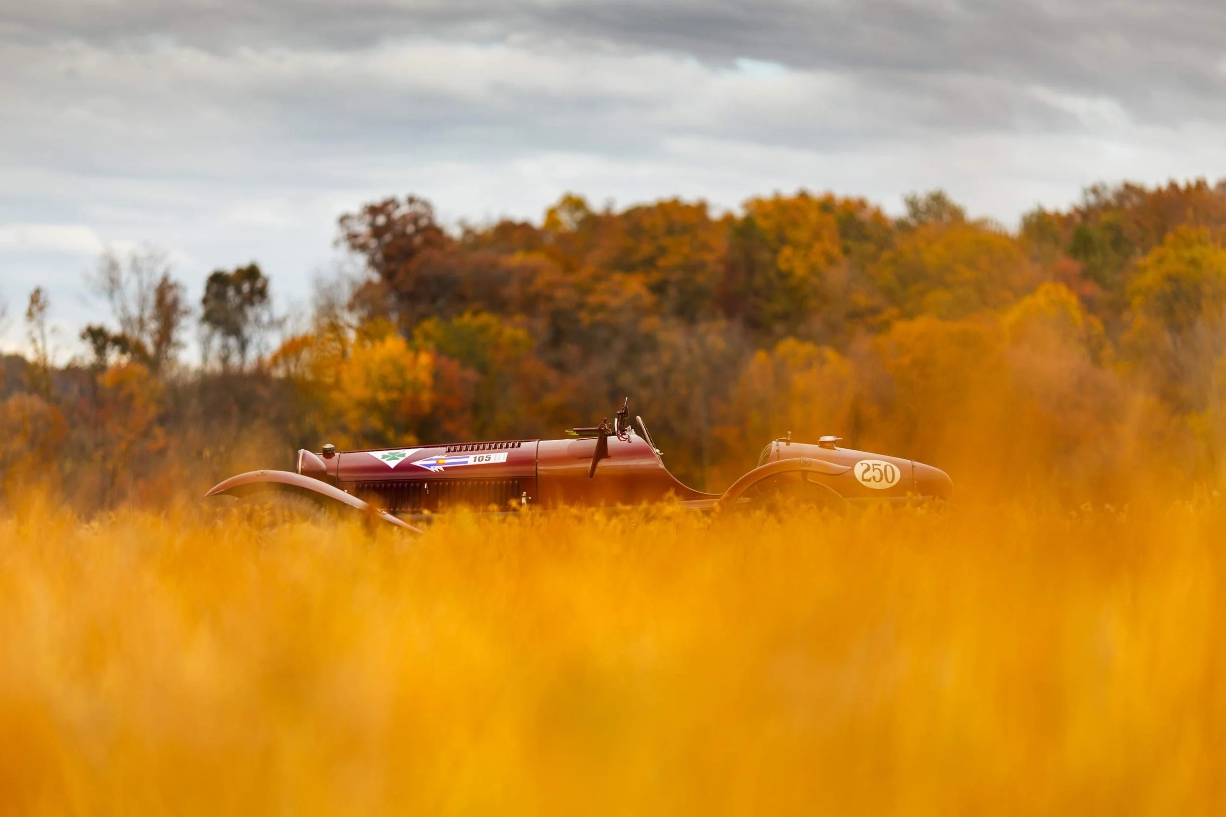 36-Nov 26 2025 12_49pm-rVvt.jpg