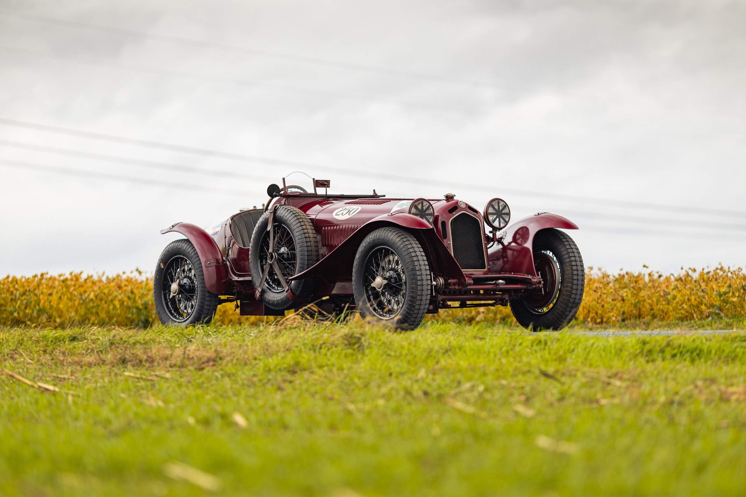 19-Nov 26 2025 12_48pm-B3W6.jpg