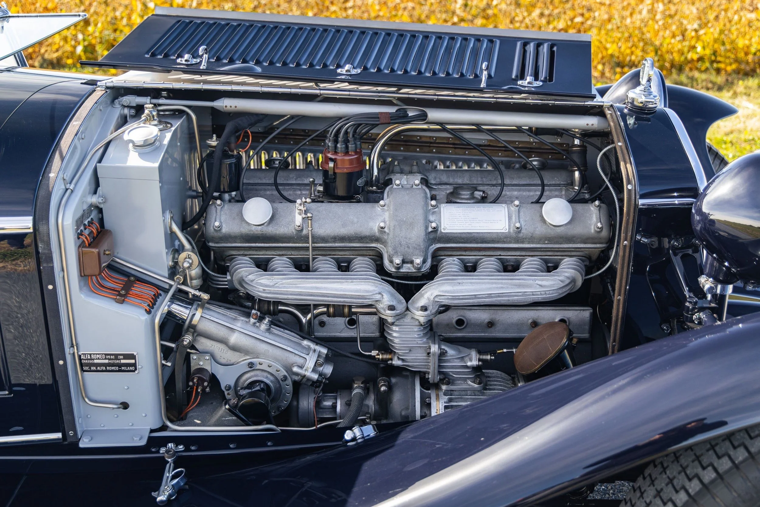 76-Dec 02 2025 09_54am-Xfuc.jpg