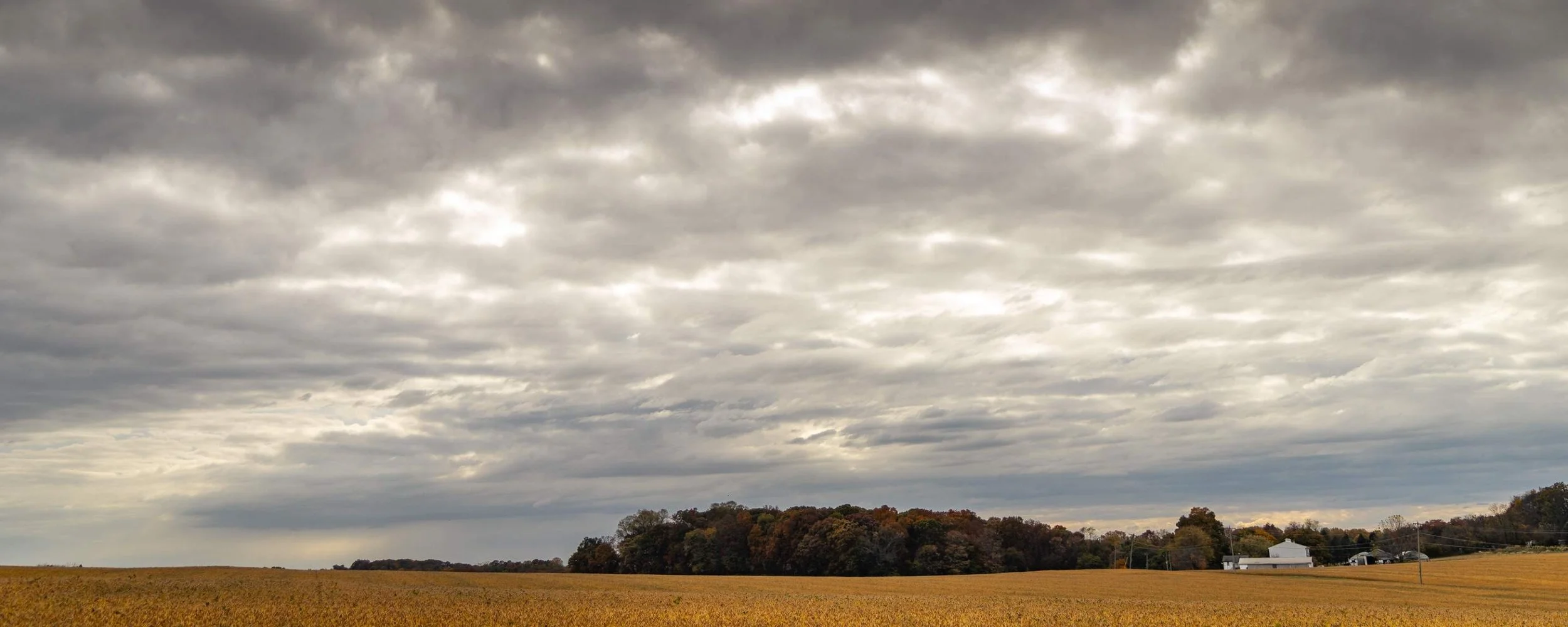 51-Nov 26 2025 12_49pm-WTbY.jpg