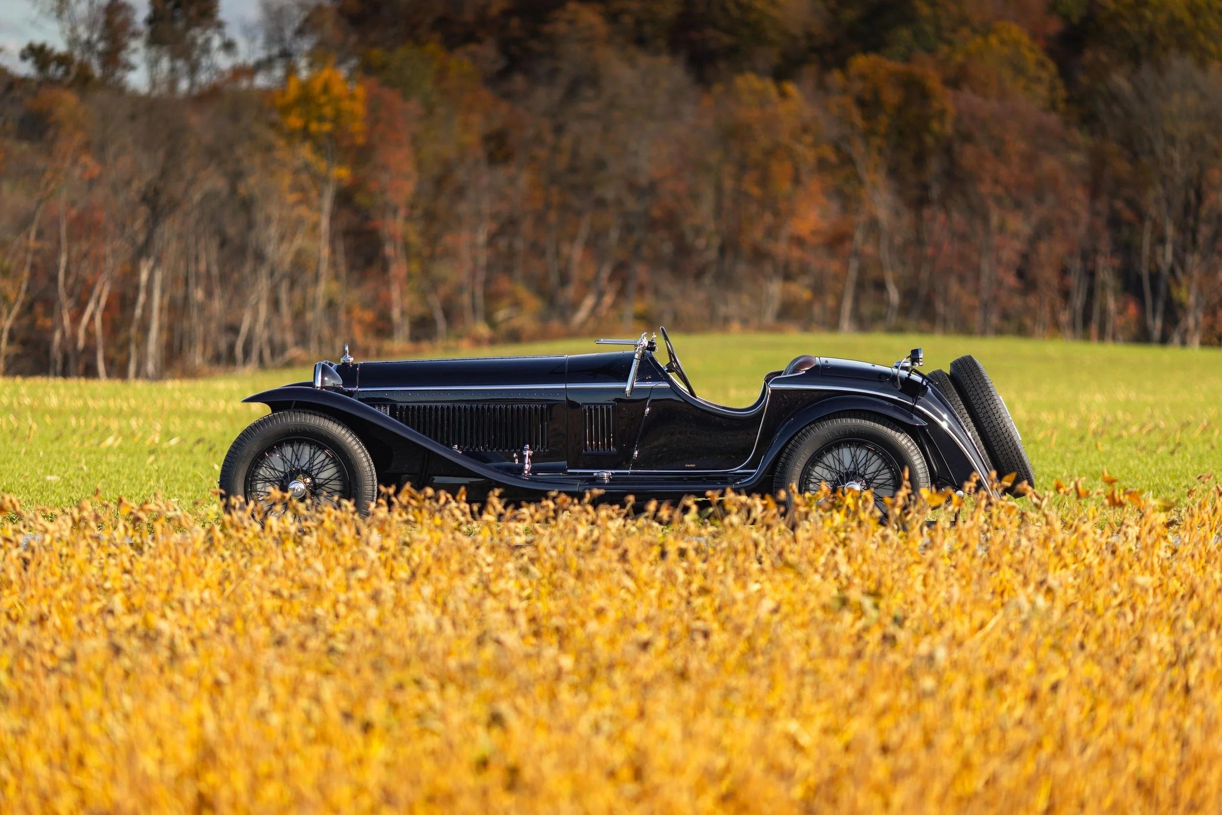 20-Dec 02 2025 09_53am-vAMb.jpg