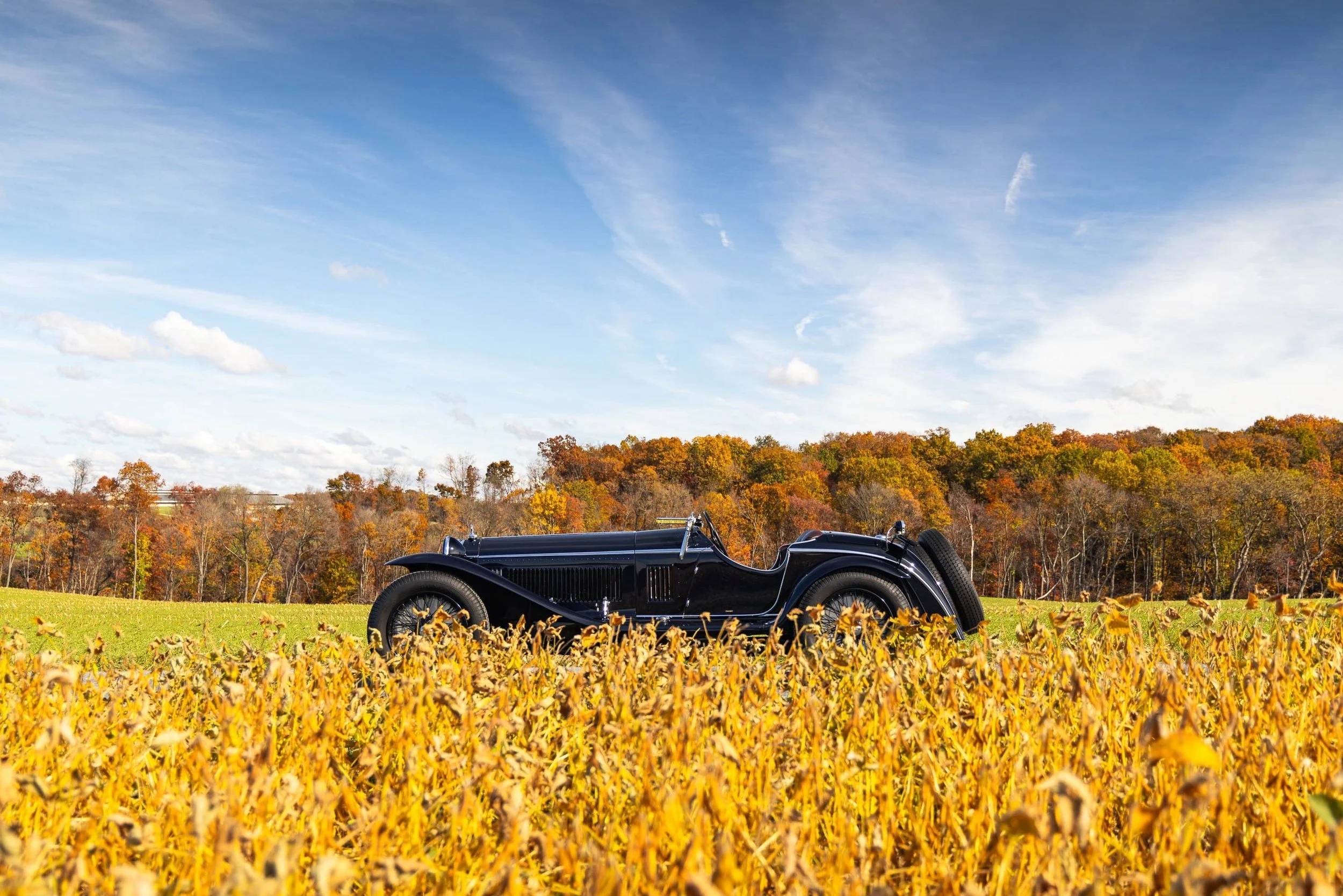 66-Dec 02 2025 09_53am-wZbi.jpg