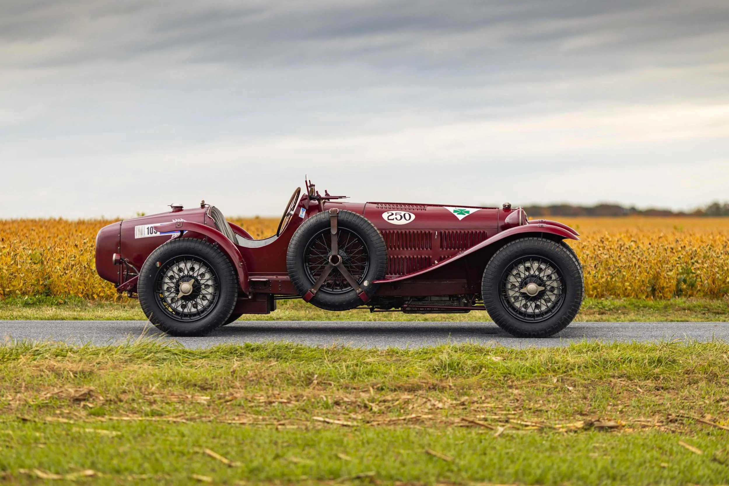 21-Nov 26 2025 12_48pm-DPie.jpg