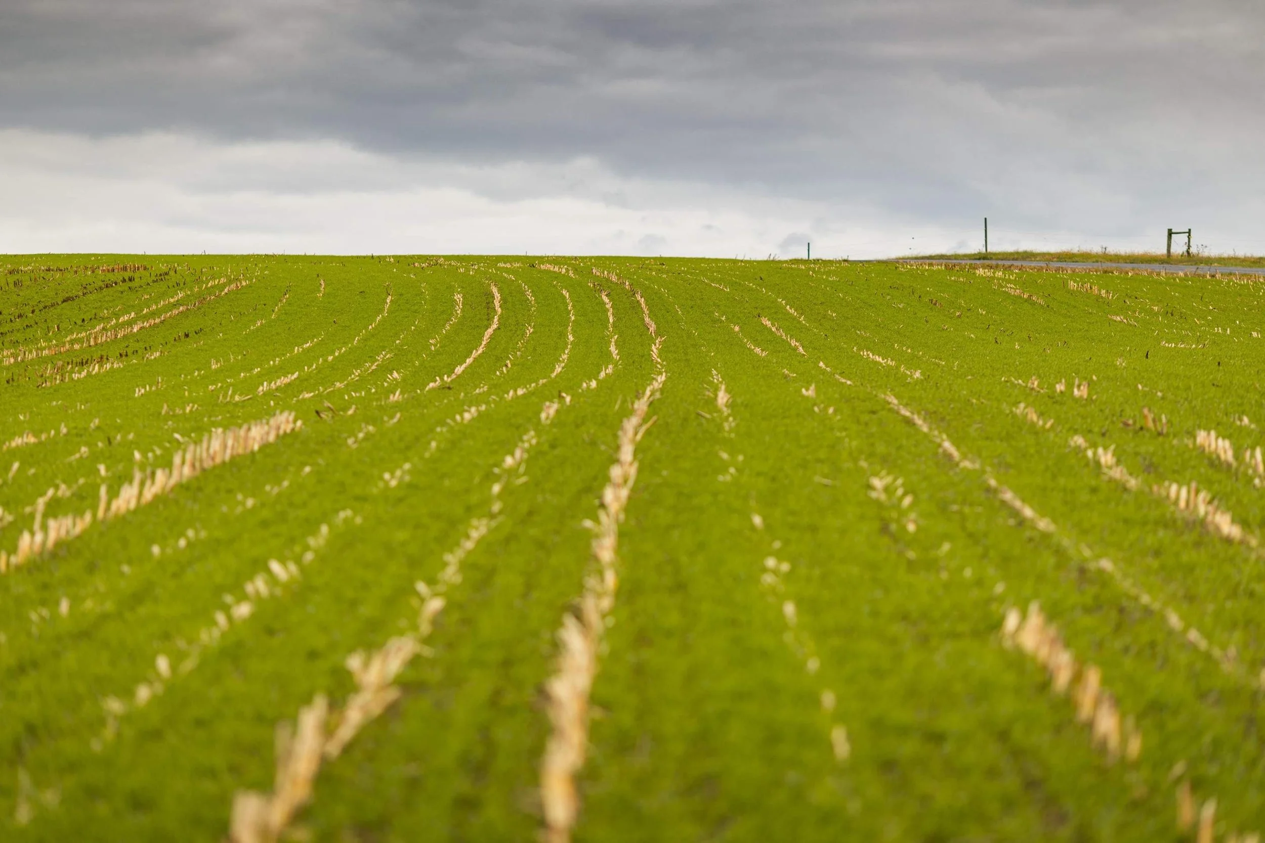 22-Nov 26 2025 12_48pm-gvFb.jpg