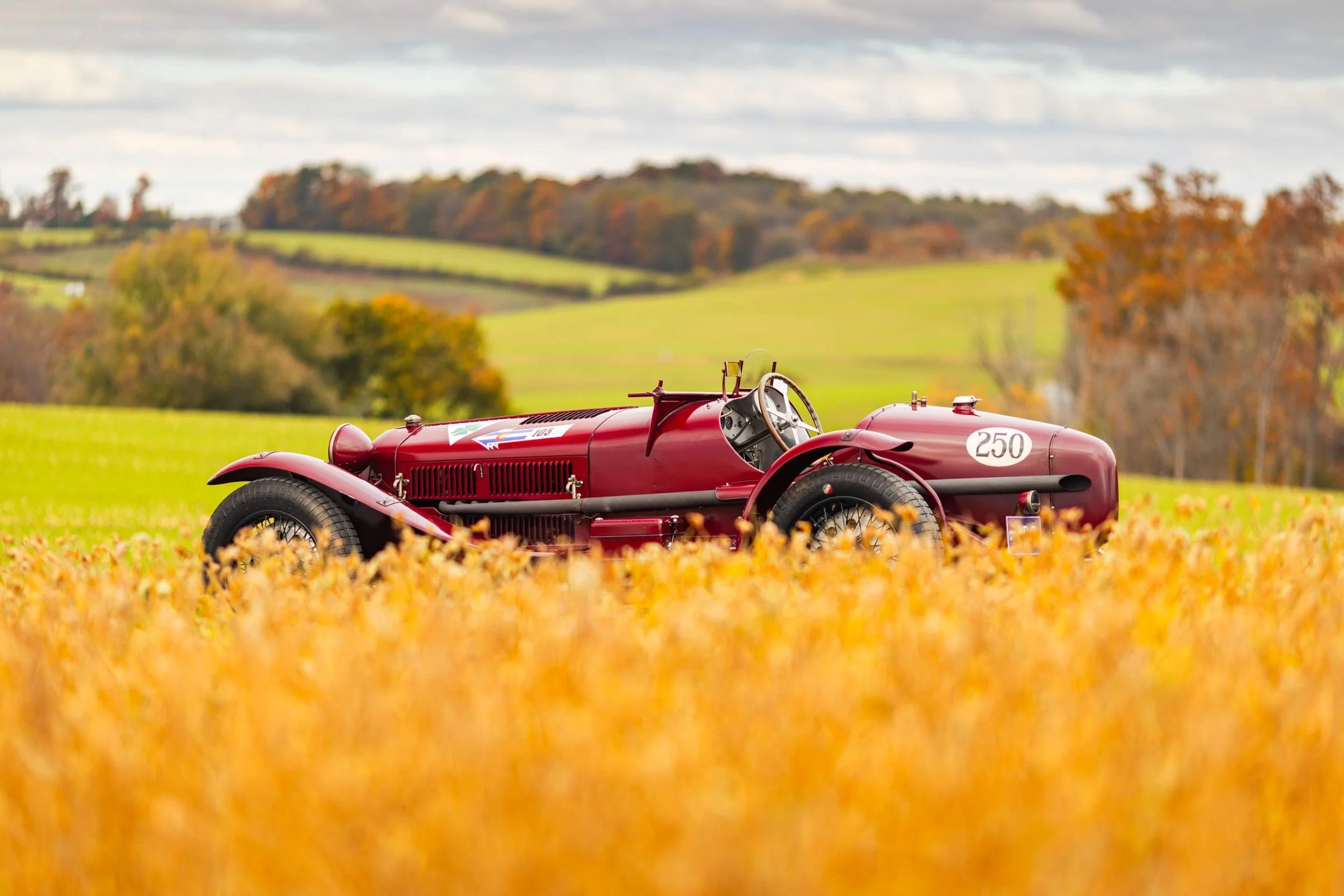 32-Nov 26 2025 12_49pm-XcZX.jpg