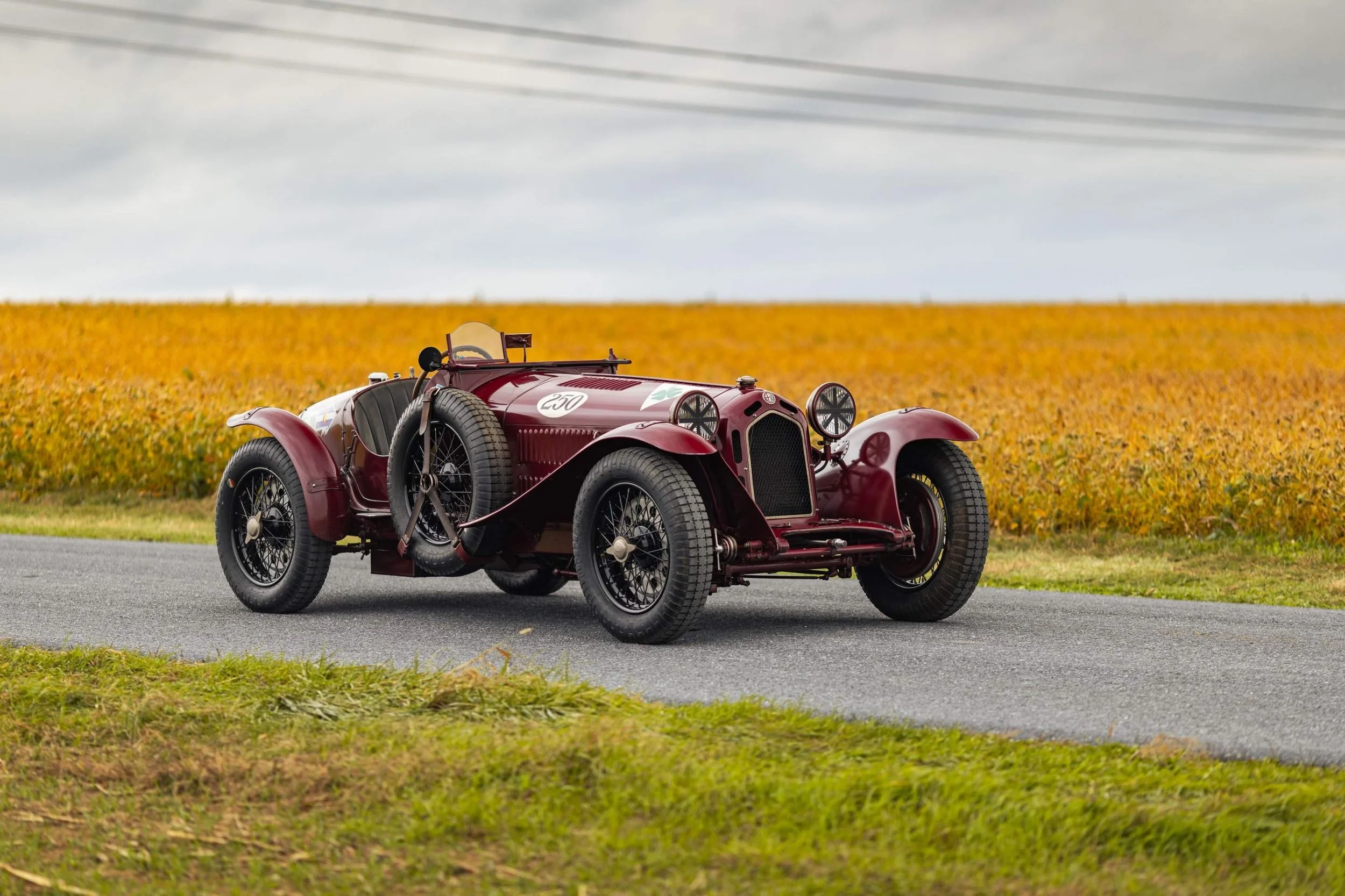 18-Nov 26 2025 12_48pm-zupp.jpg